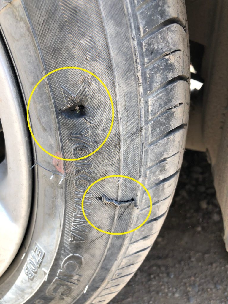Tire damaged due to Dog Bite